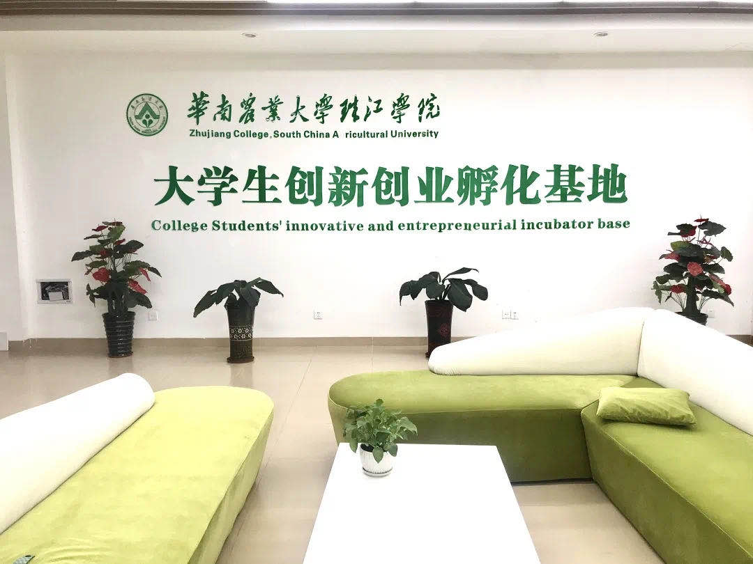 包含青少年篮球“双创”基地快速成长，推动创新创业发展的词条