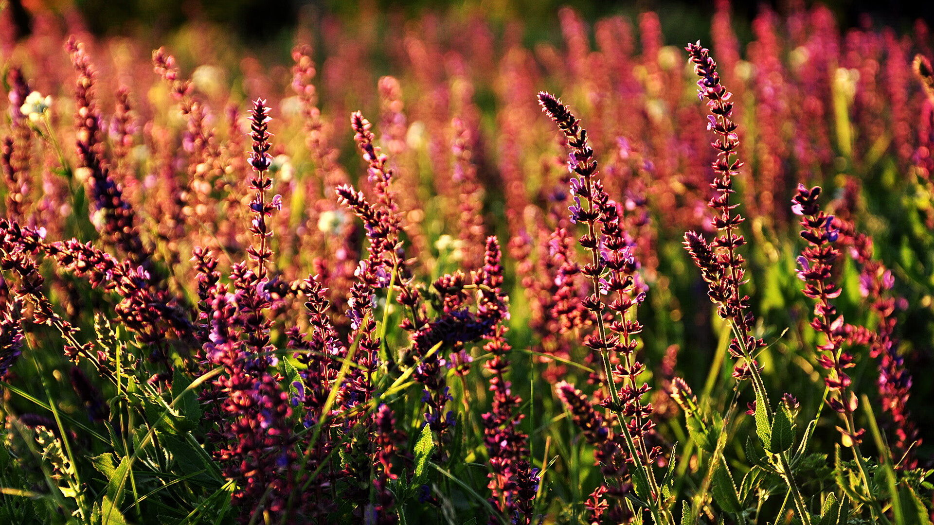 中超联赛中国青年队战胜 球员表现突出，中超球队各队青训的情况