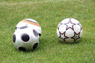 开云体育app安全下载-基层足球发展资金紧张，基层足球发展资金紧张的原因