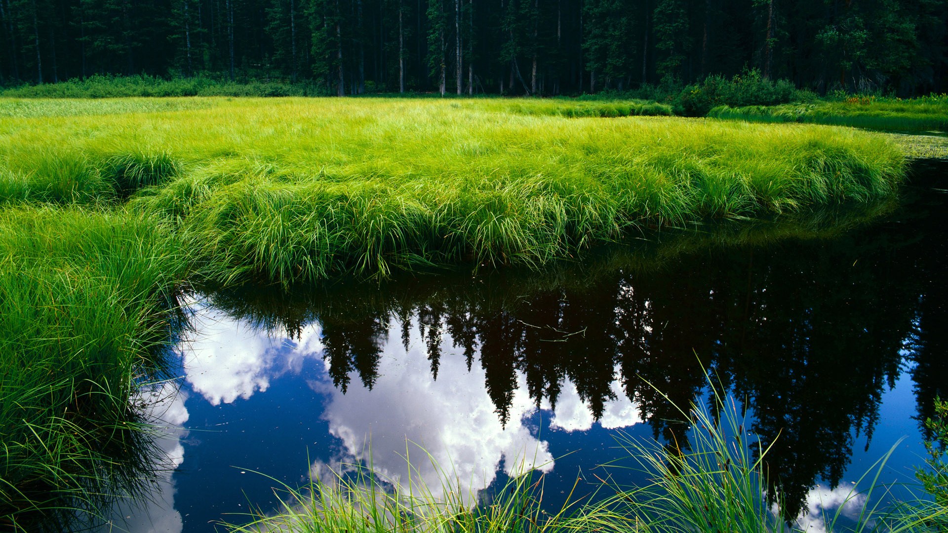 安东·李恩:全黑队中场的“稳定器”,每次比赛中的表现都极为稳定