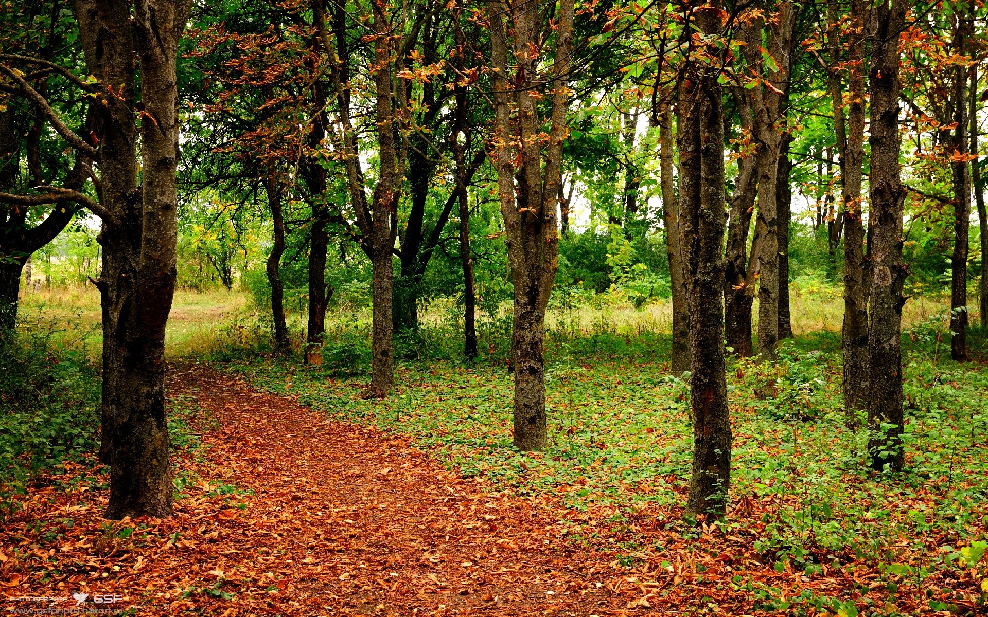 开云体育博彩-柯洁逆风翻盘围棋冠军赛，柯洁逆风翻盘围棋冠军赛第几名