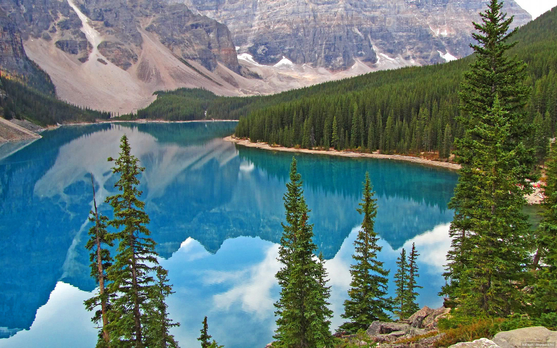 开云体育下载APP-波尔曼的传球与突破将袋鼠队的进攻提升到新高度