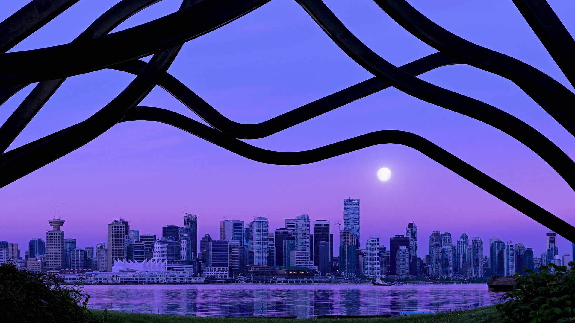 开云娱乐app安全登录-美洲杯球员装备技术革新，美洲杯专用球