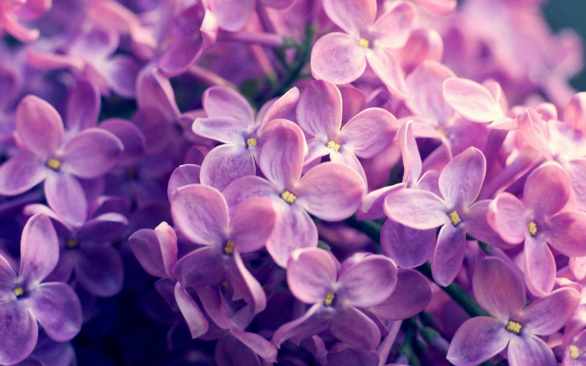 开云体育官方网站-英超冠军悬念：战局千变万化，惊喜不断！，英超 冠军