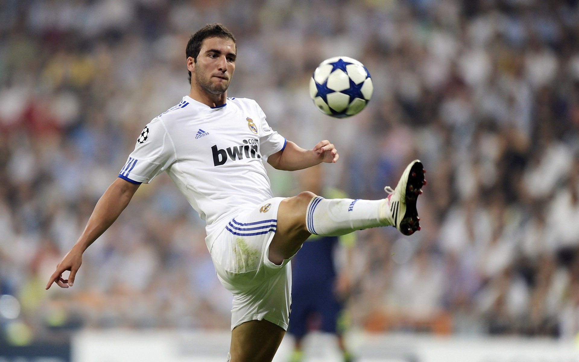 国足官方App提供全方位训练内容，国足比赛平台